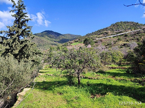 ANAMUR DEMİRÖREN'DE MÜSTAKİL PORTAKAL BAHÇESİ VE TARLA - MERSİN ANAMUR fotoğraf 15